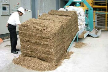 Biomass gaining in Popularity